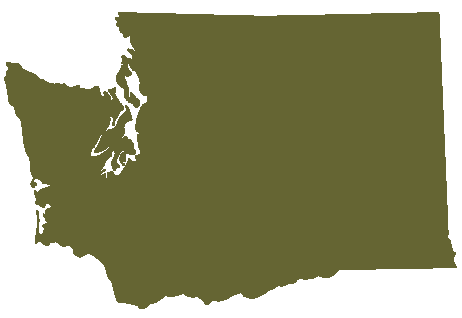 WA State Outline